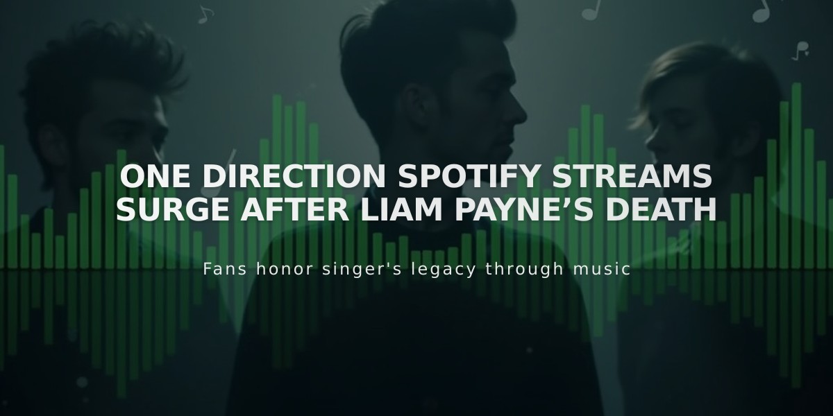 One Direction's Music Dominates Spotify as Fans Mourn Liam Payne's Death