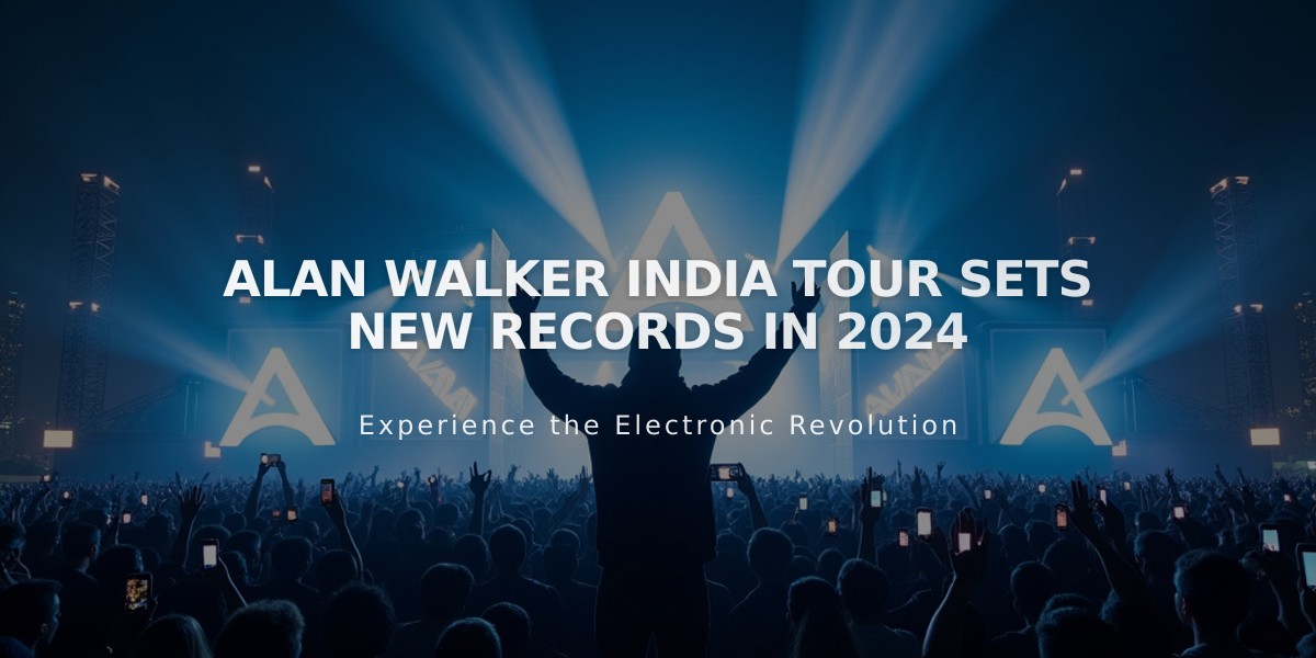 Alan Walker's WalkerWorld Tour Breaks India's EDM Concert Records in 2024