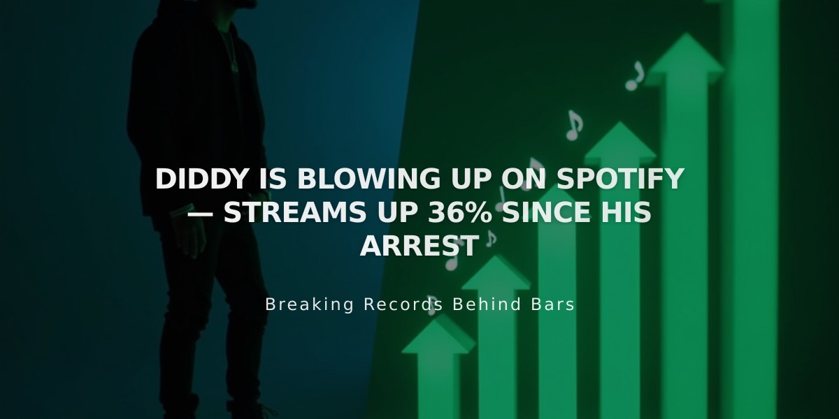 Diddy's Spotify Streams Surge 36% Following Sexual Assault Allegations