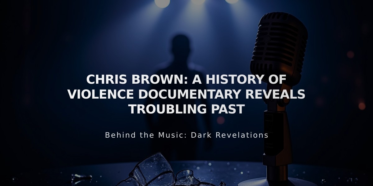 Chris Brown: New Documentary Exposes Star's History of Alleged Violence and Abuse