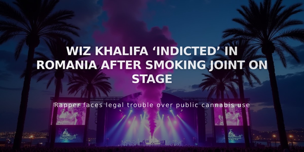 Wiz Khalifa Faces Criminal Charges in Romania Over On-Stage Cannabis Use