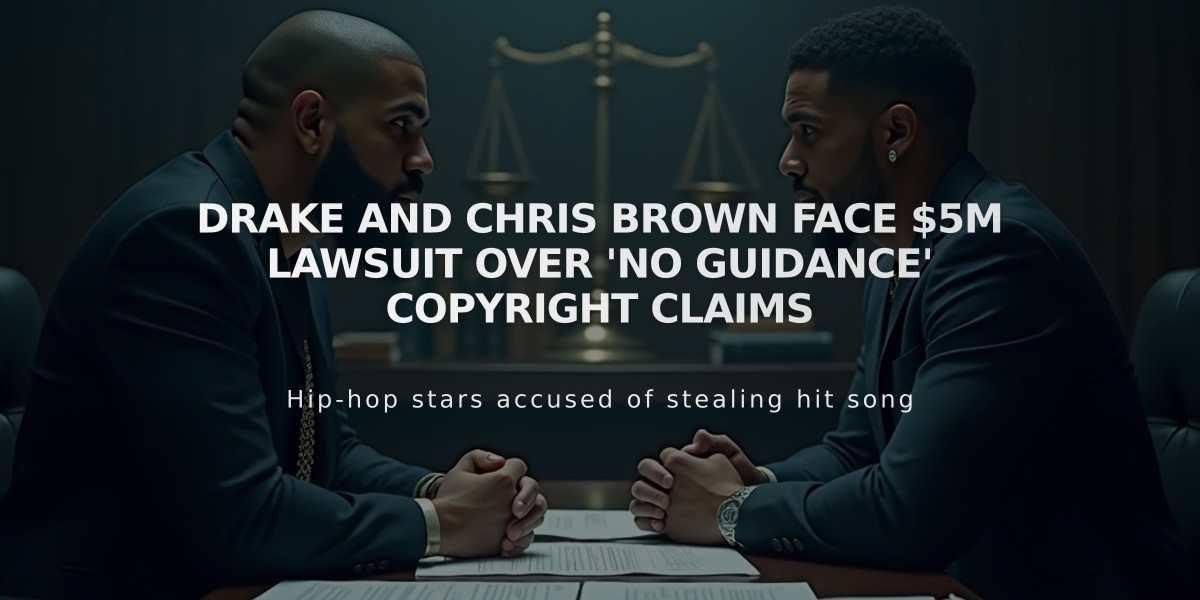 Drake and Chris Brown Face $5M Lawsuit Over 'No Guidance' Copyright Claims