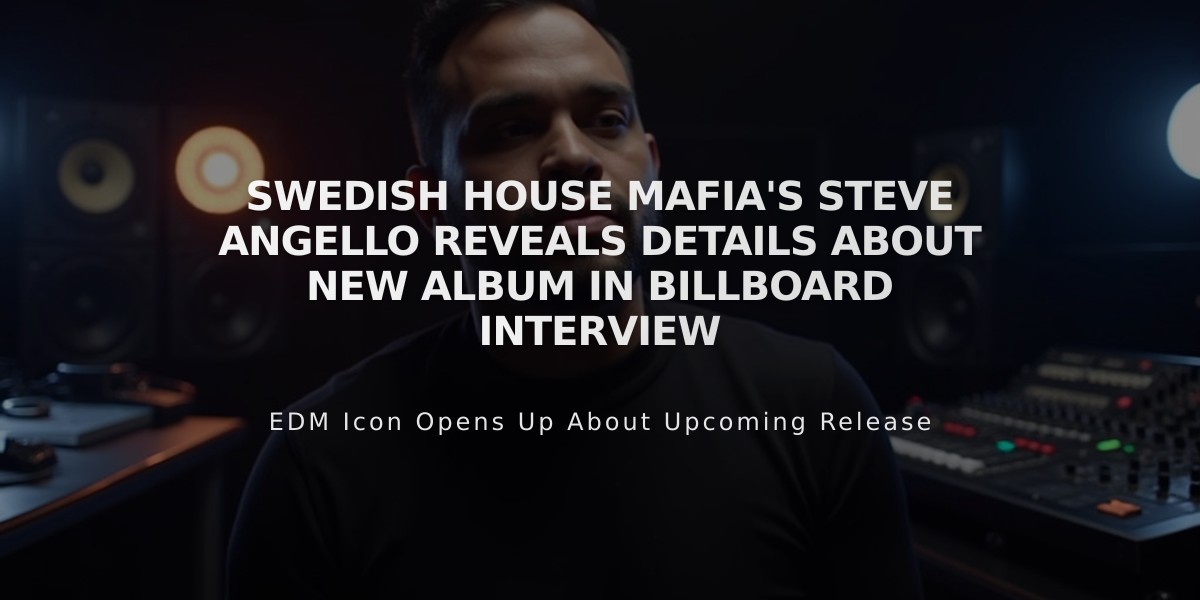 Swedish House Mafia's Steve Angello Reveals Details About New Album in Billboard Interview