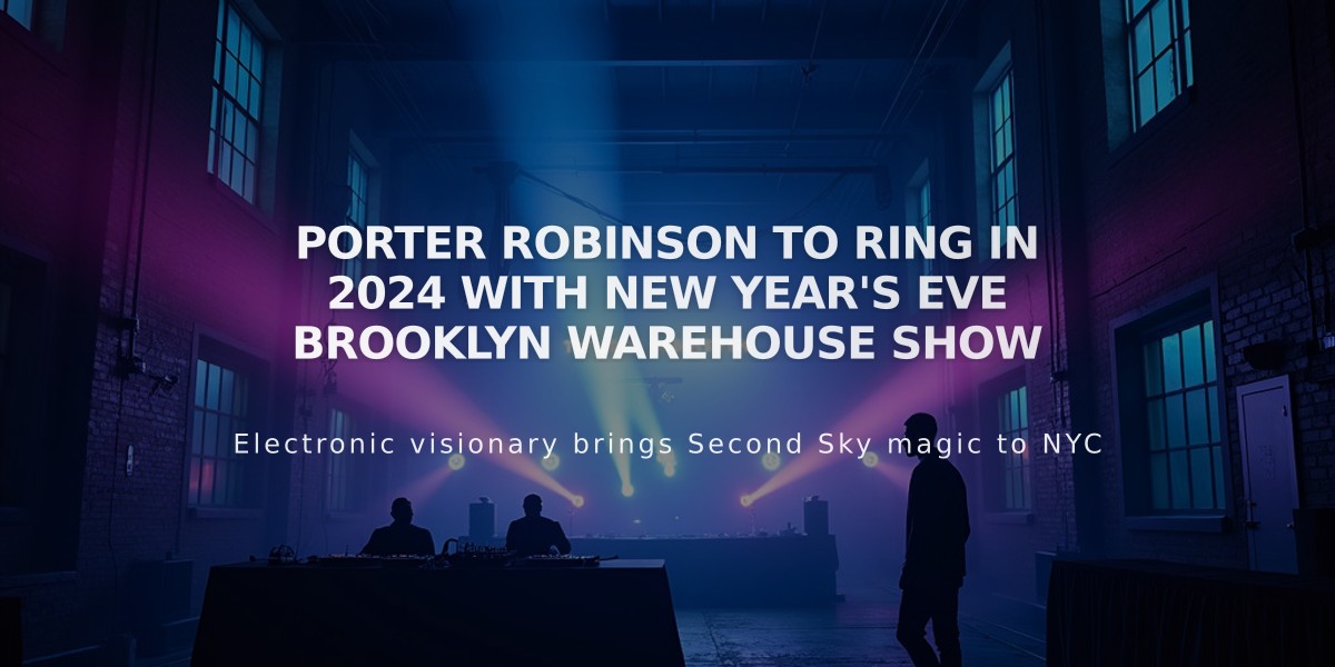 Porter Robinson to Ring in 2024 with New Year's Eve Brooklyn Warehouse Show