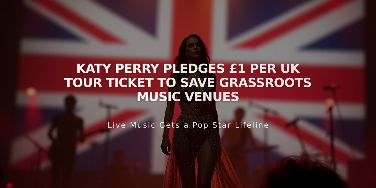 Katy Perry Pledges £1 Per UK Tour Ticket to Save Grassroots Music Venues