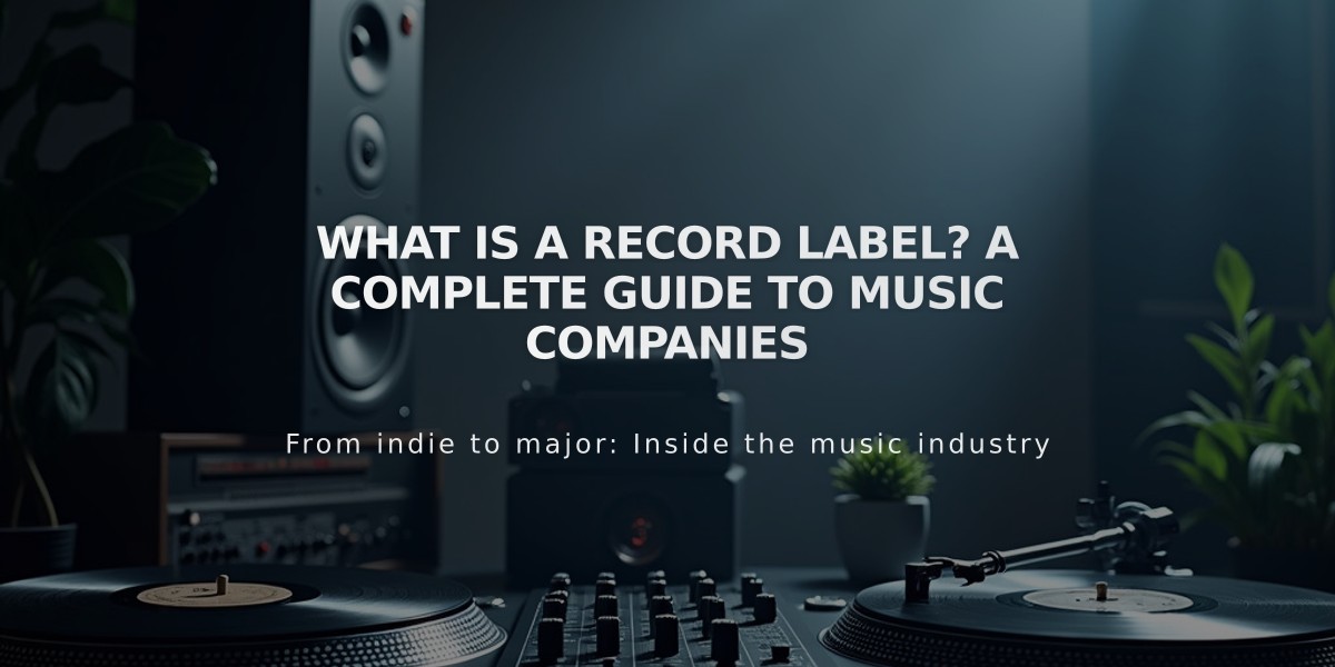 What Is a Record Label? A Complete Guide to Music Companies