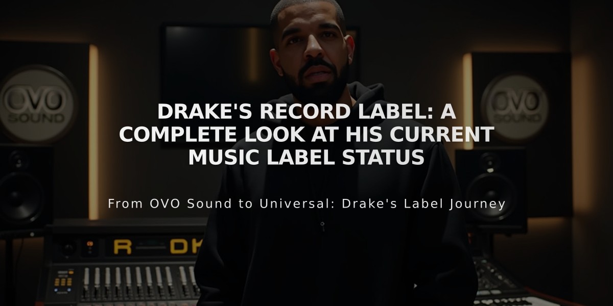 Drake's Record Label: A Complete Look at His Current Music Label Status