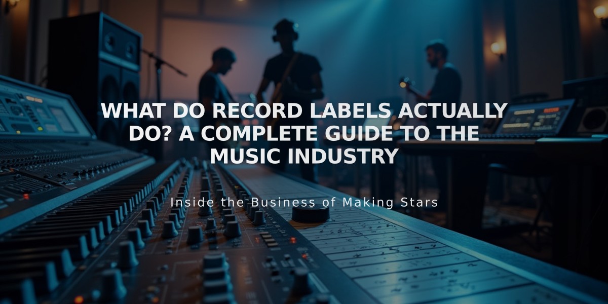 What Do Record Labels Actually Do? A Complete Guide to the Music Industry