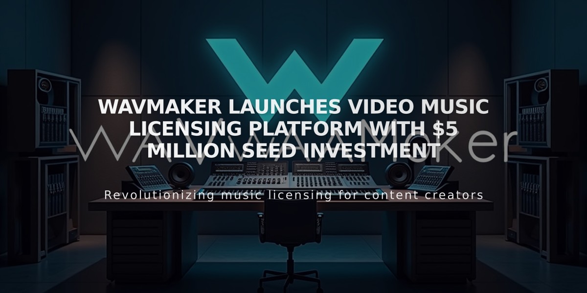 WavMaker Launches Video Music Licensing Platform With $5 Million Seed Investment