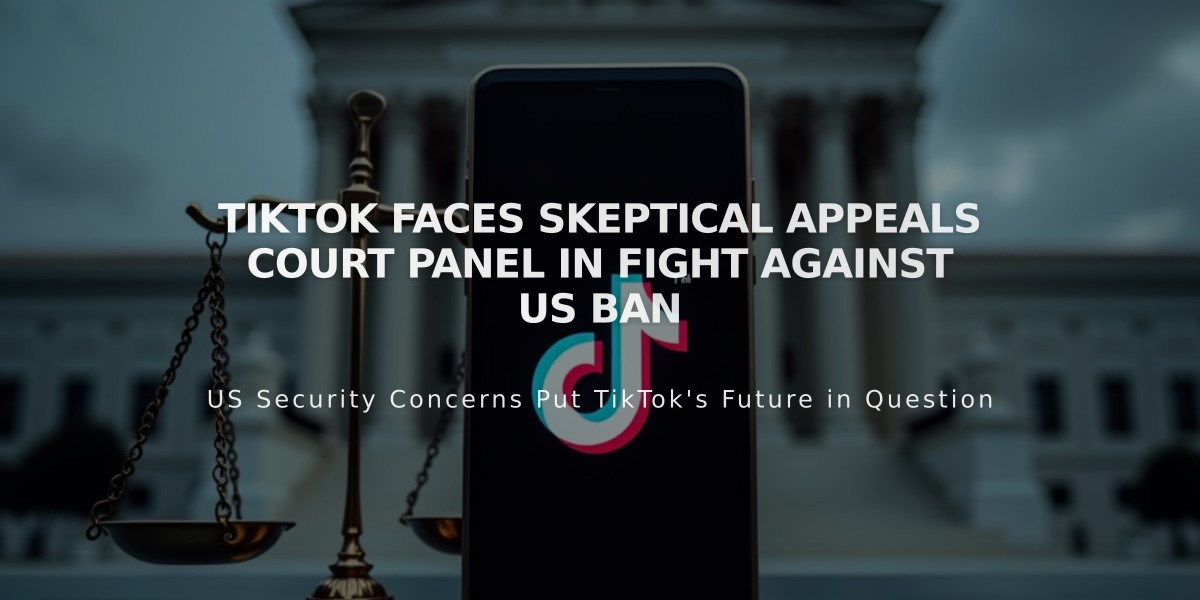 TikTok Faces Skeptical Appeals Court Panel in Fight Against US Ban