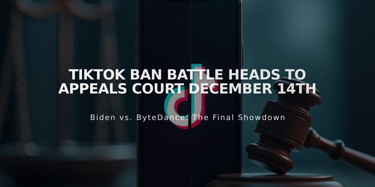 TikTok Ban Battle Heads to Appeals Court December 14th