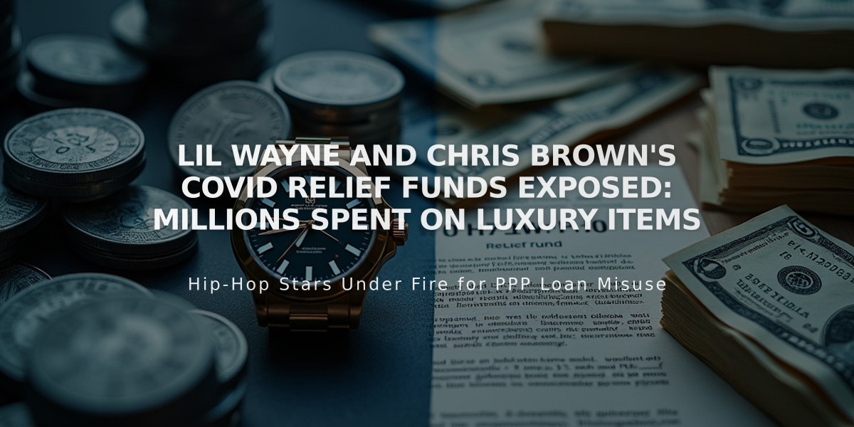 Lil Wayne and Chris Brown's COVID Relief Funds Exposed: Millions Spent on Luxury Items