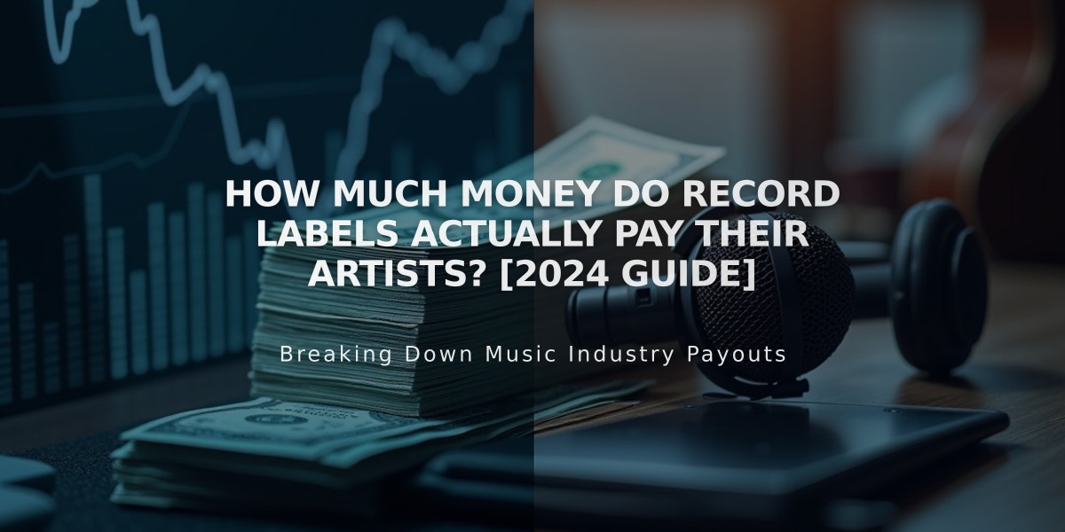 How Much Money Do Record Labels Actually Pay Their Artists? [2024 Guide]