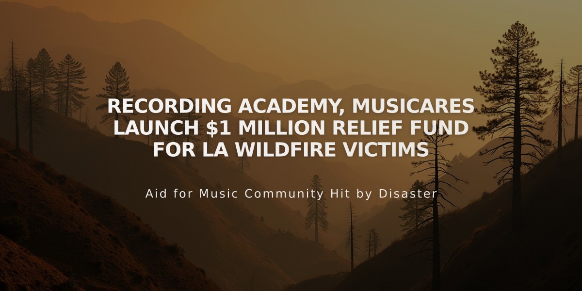 Recording Academy, MusiCares Launch $1 Million Relief Fund for LA Wildfire Victims