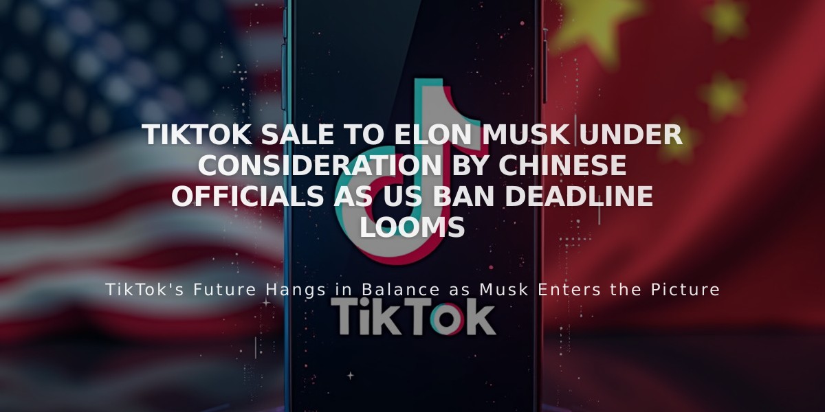 TikTok Sale to Elon Musk Under Consideration by Chinese Officials as US Ban Deadline Looms