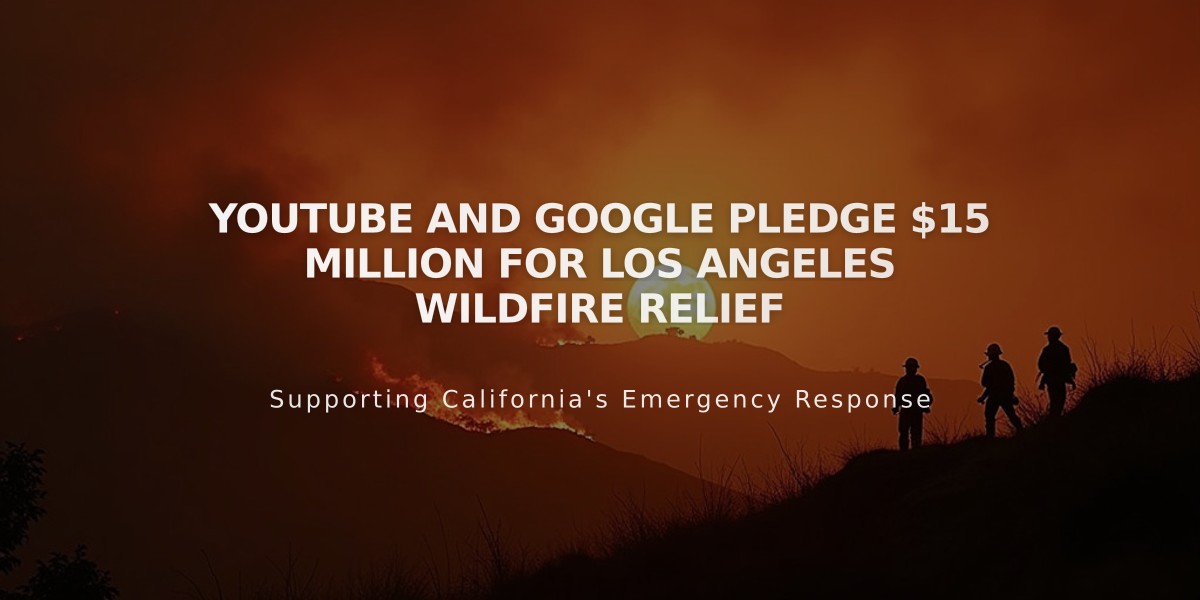 YouTube and Google Pledge $15 Million for Los Angeles Wildfire Relief