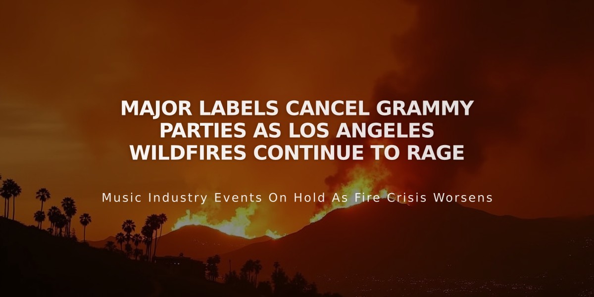 Major Labels Cancel Grammy Parties as Los Angeles Wildfires Continue to Rage