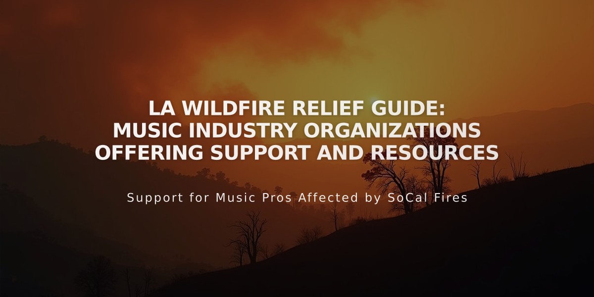 LA Wildfire Relief Guide: Music Industry Organizations Offering Support and Resources