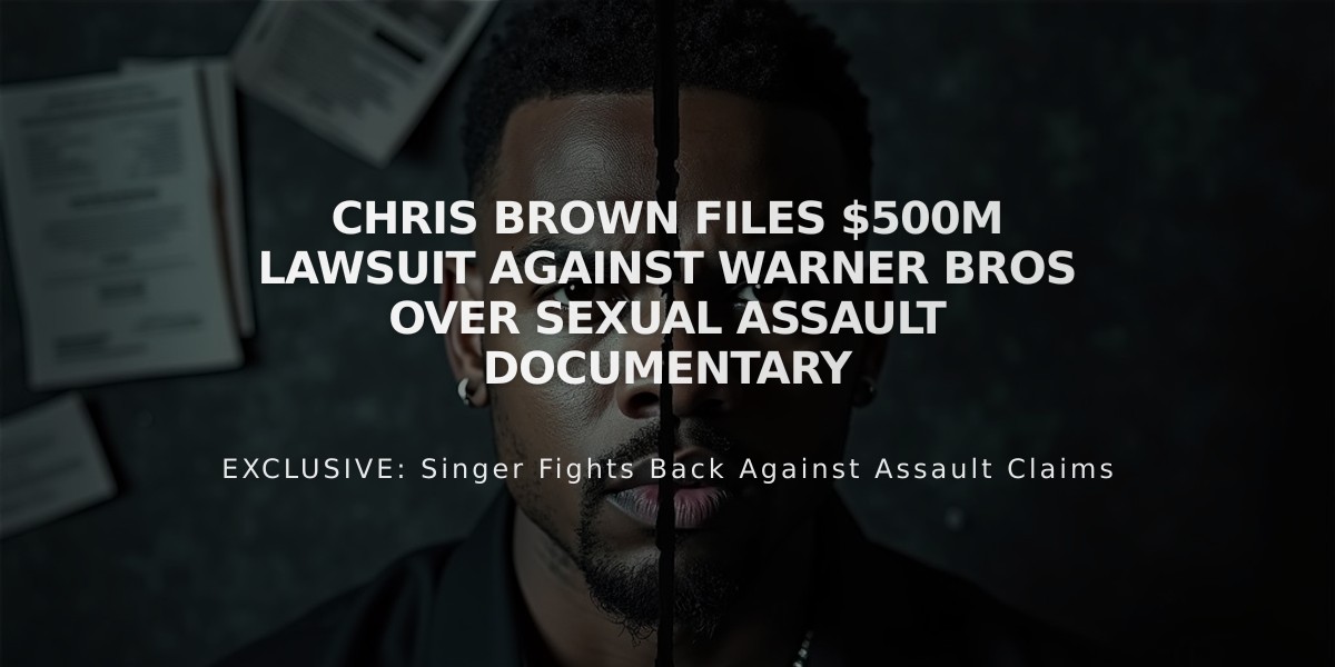 Chris Brown Files $500M Lawsuit Against Warner Bros Over Sexual Assault Documentary