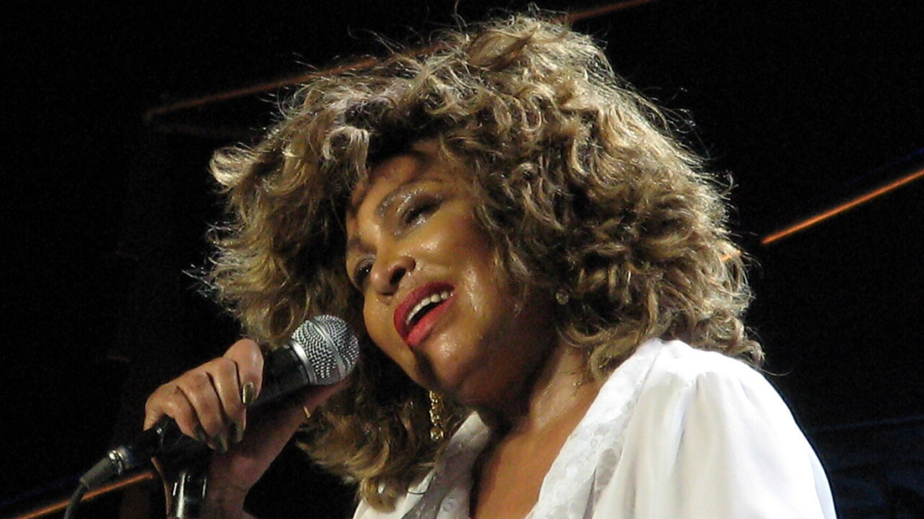 Tina Turner performs with microphone