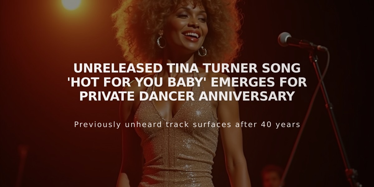 Unreleased Tina Turner Song 'Hot For You Baby' Emerges for Private Dancer Anniversary