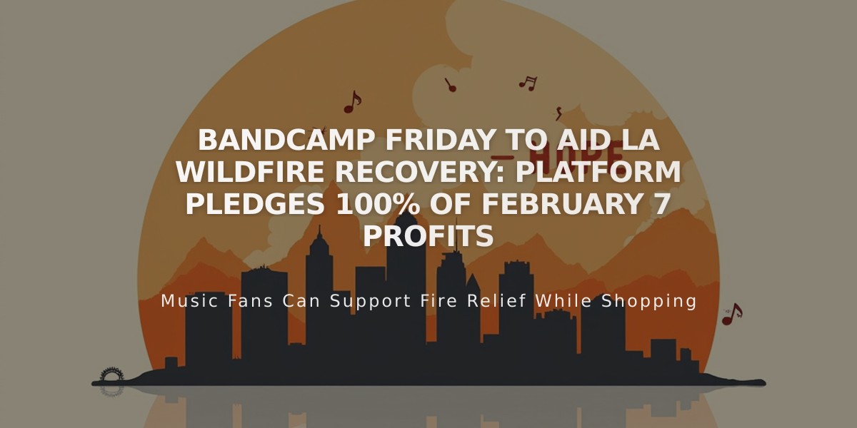 Bandcamp Friday to Aid LA Wildfire Recovery: Platform Pledges 100% of February 7 Profits