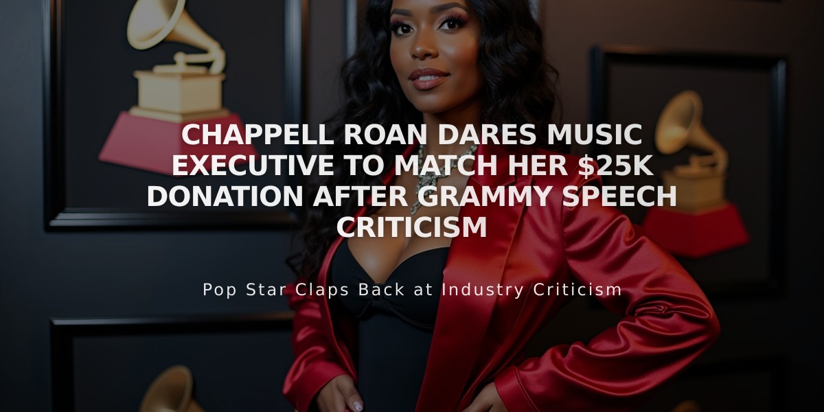 Chappell Roan Dares Music Executive to Match Her $25K Donation After Grammy Speech Criticism