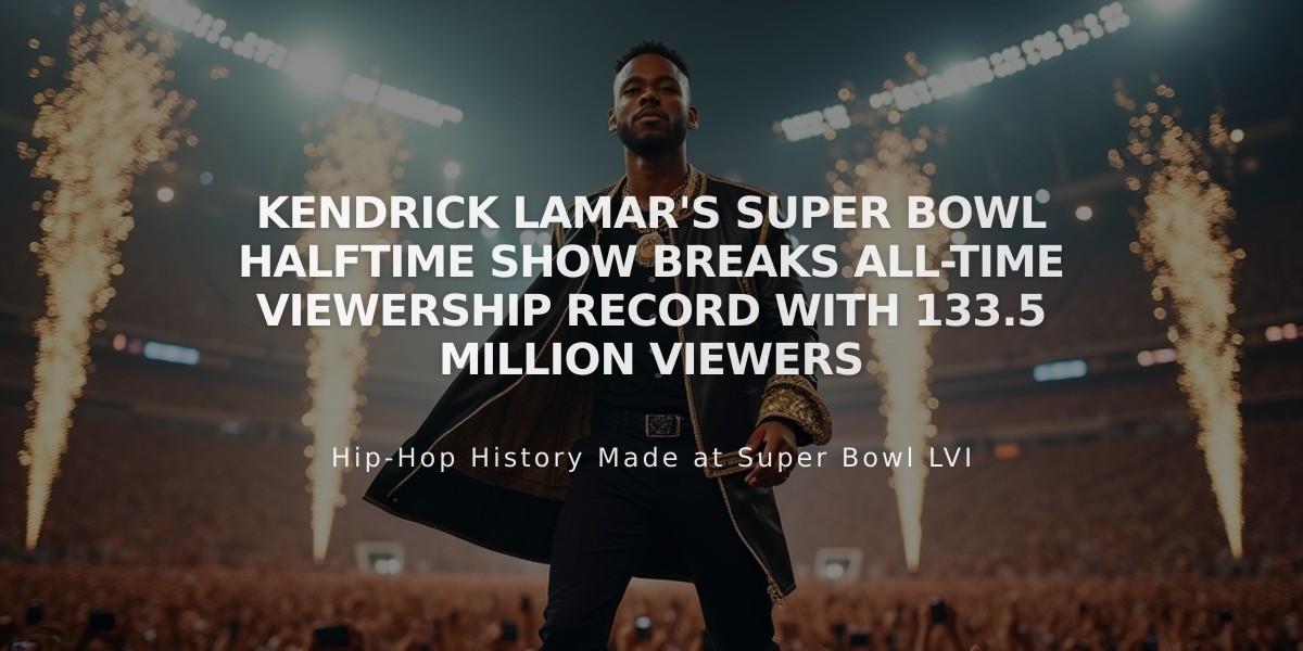 Kendrick Lamar's Super Bowl Halftime Show Breaks All-Time Viewership Record with 133.5 Million Viewers