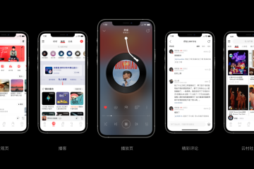 NetEase Cloud Music app display