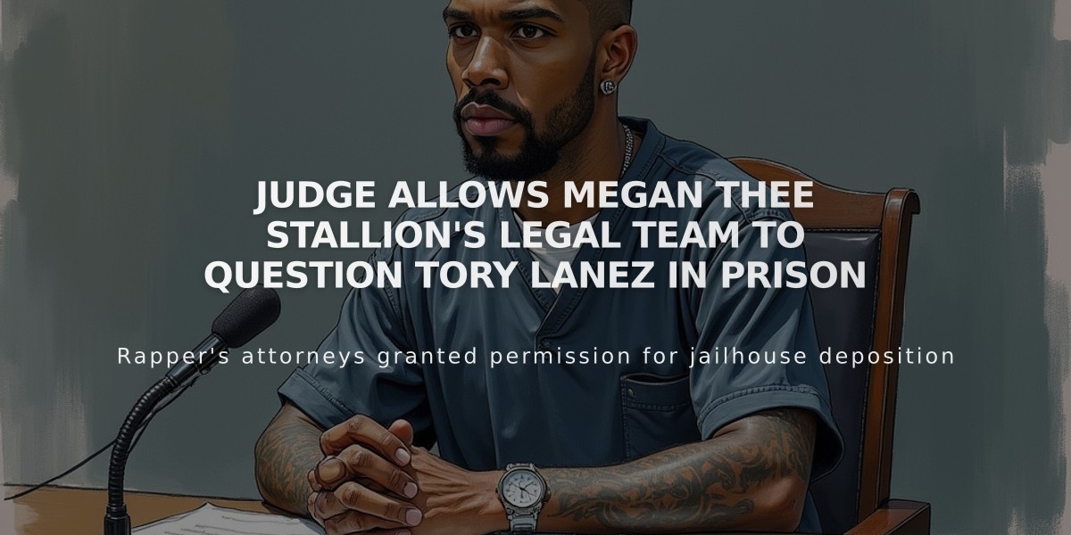 Judge Allows Megan Thee Stallion's Legal Team to Question Tory Lanez in Prison