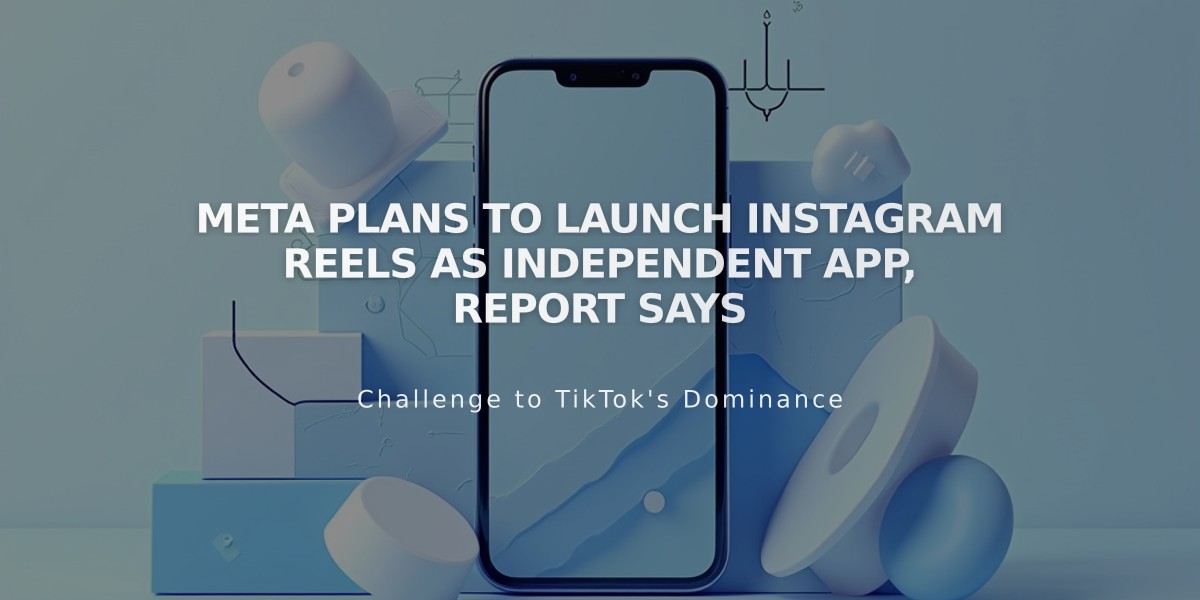 Meta Plans to Launch Instagram Reels as Independent App, Report Says