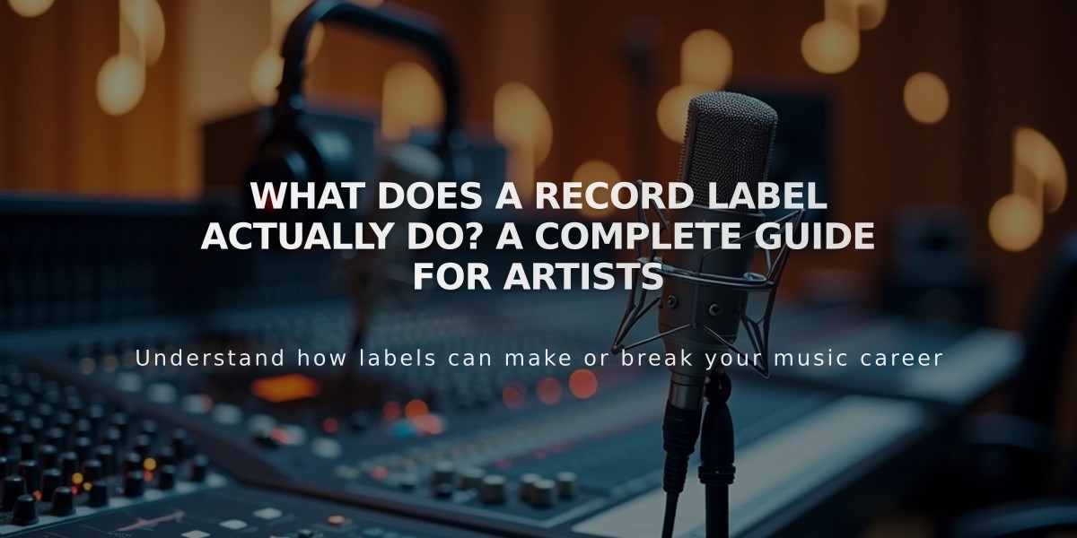 What Does a Record Label Actually Do? A Complete Guide for Artists